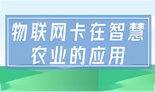 物聯(lián)卡在智慧農(nóng)業(yè)中的應(yīng)用